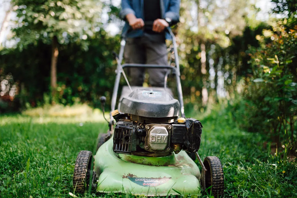 A person pushing a gas lawn mower across a green residential lawn on a sunny day.