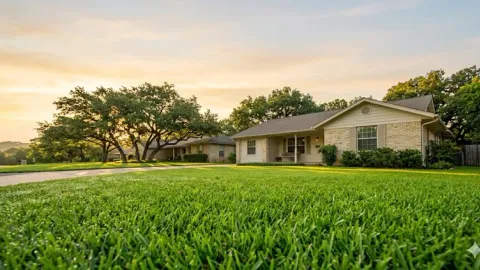 A residential lawn in San Gabriel, Georgetown TX
